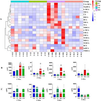 Integrated multi-omics analyses combined with western blotting discovered that cis-TSG alleviated liver injury via modulating lipid metabolism